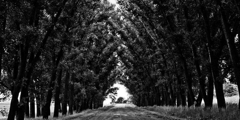 从米市到美食之都:芜湖百年物流基因如何塑造今日生活