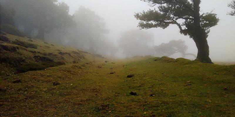从芜湖美食到机器人高地：一座城市的产业跃迁与生活密码