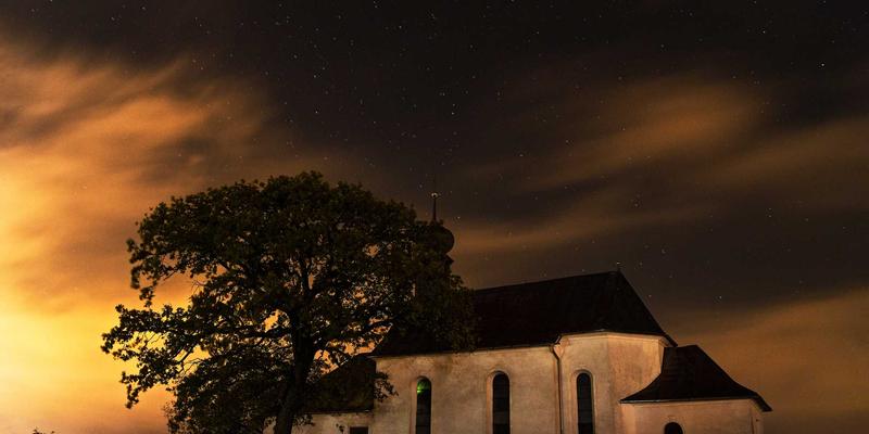 寻味江城烟火气:芜湖凤凰美食街必吃小吃全攻略与在地生活观察