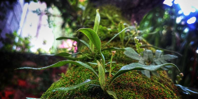 芜湖大白鲸海洋公园：亲子文旅新地标如何重塑城市格局，驱动旅游与商业双升级？