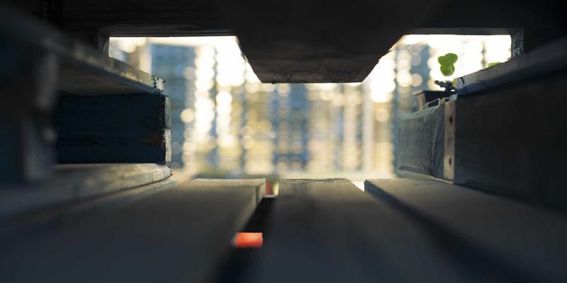 芜湖方特梦幻王国全攻略:省钱秘籍与深度玩法,一篇搞定芜湖旅游热点