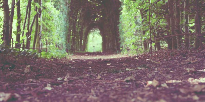 芜湖轨道交通1号线：一条地铁如何改变城市格局、重塑商业版图与通勤生活？